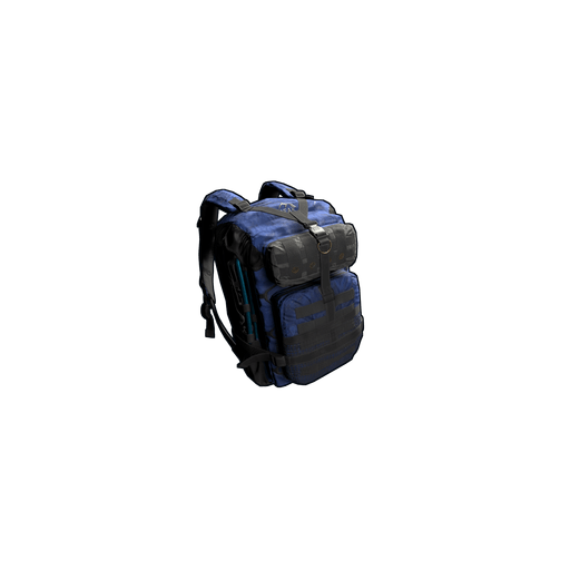 Arctic Backpack